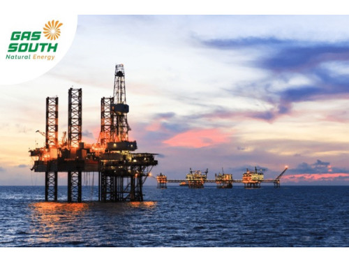How Does Petroleum Form? Geological Processes